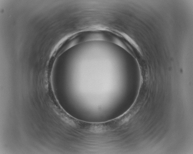 X0000080751364200612151304