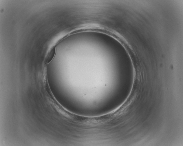 X0000080751366200612151304