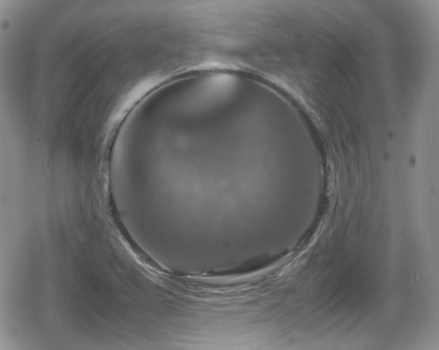 X0000080751367200612151304