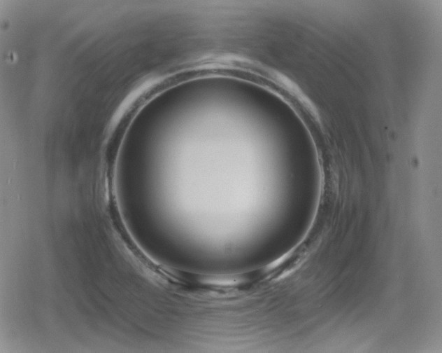 X0000080751368200612151304