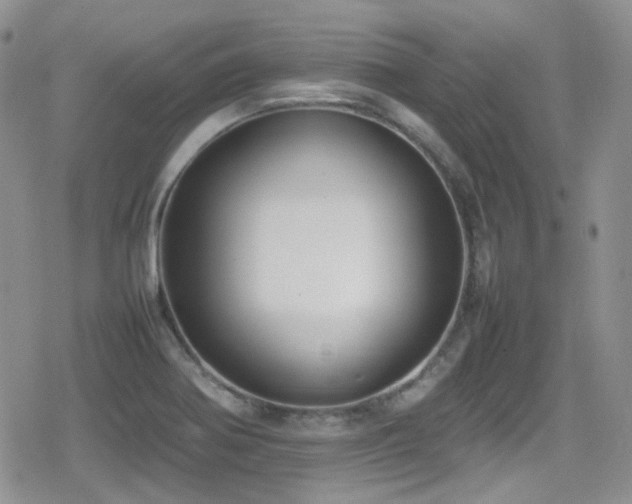 X0000080751370200612151304