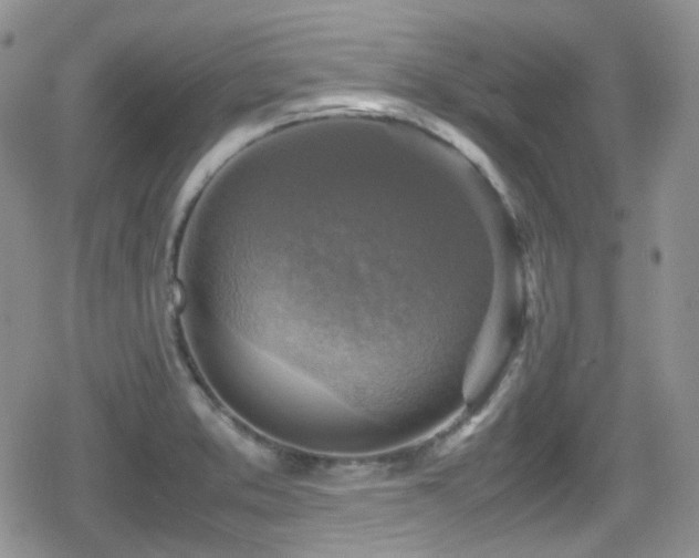 X0000080751373200612151304