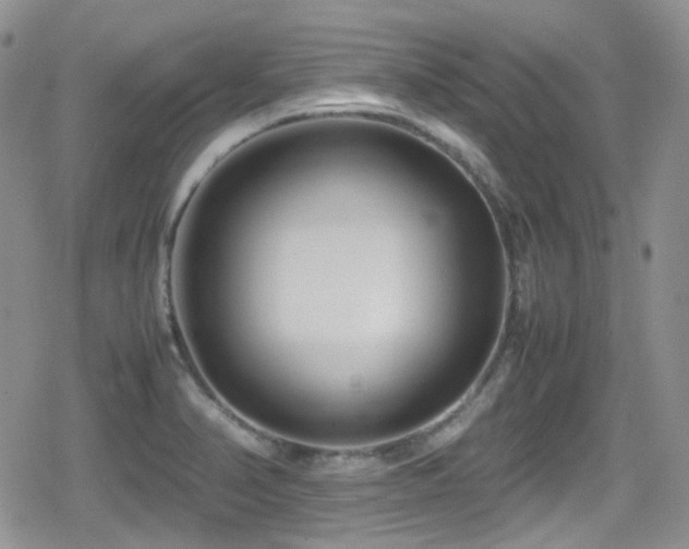 X0000080751374200612151304
