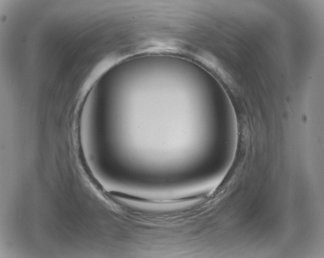 X0000080751375200612151304