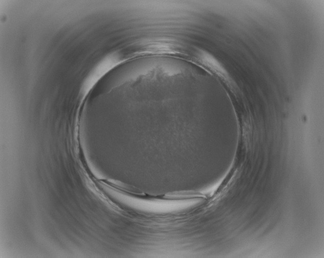 X0000080751378200612151304