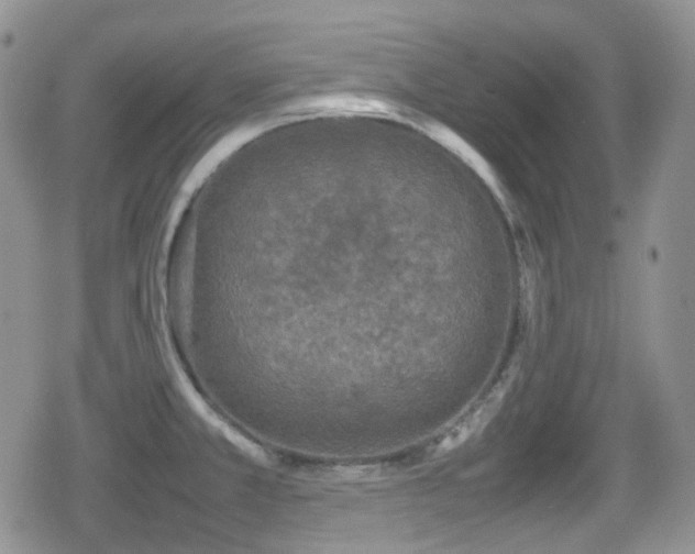 X0000080751381200612151303