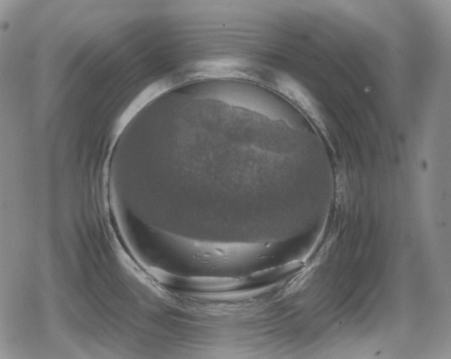 X0000080751386200612151303