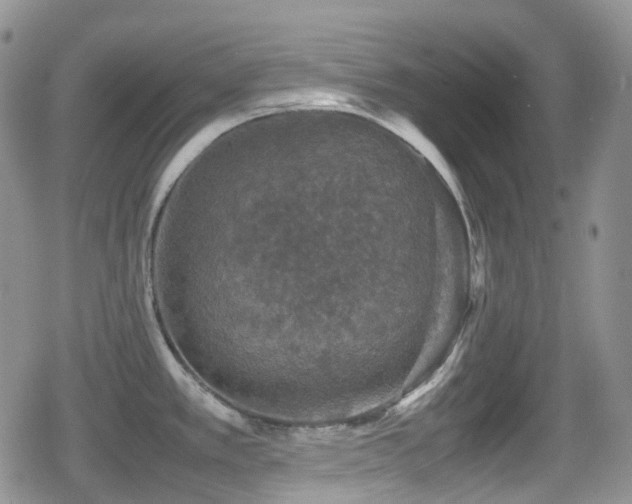 X0000080751389200612151303