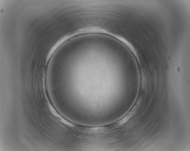 X0000080751390200612151303