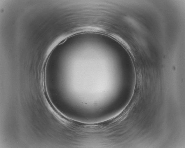 X0000080751391200612151303