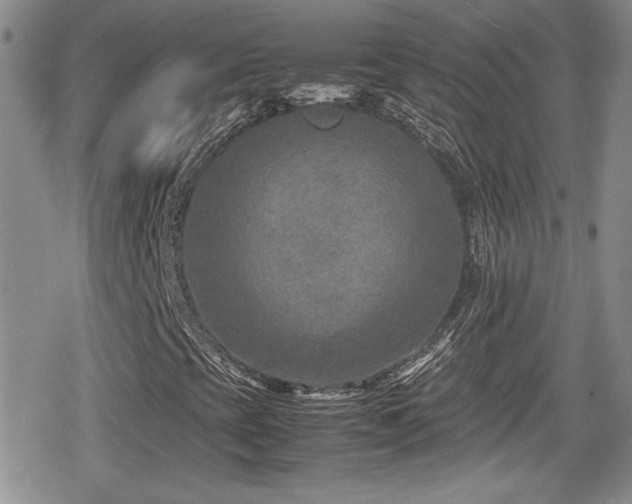 X0000080751393200612151303