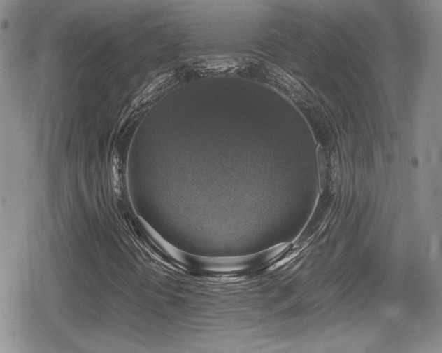X0000080751394200612151303