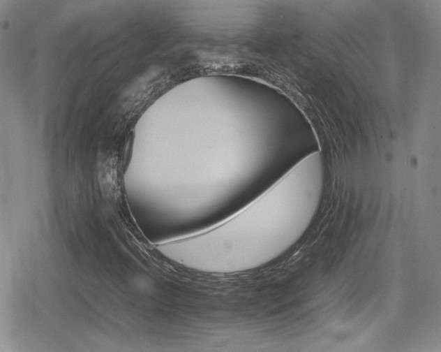 X0000080751396200612151303