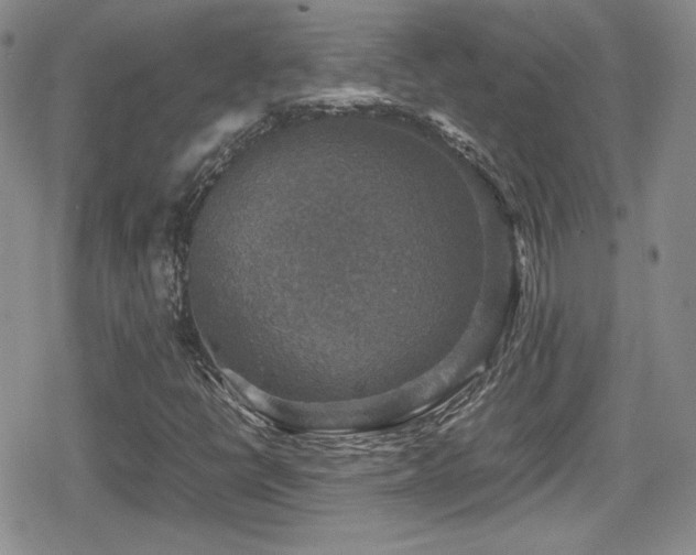 X0000080751398200612151303