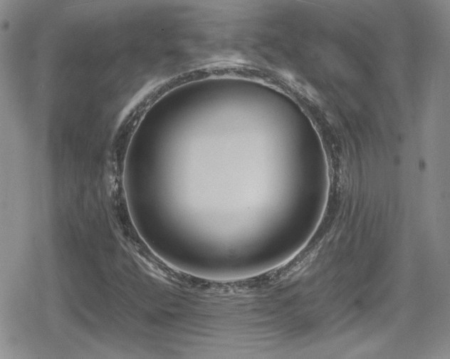 X0000080751400200612151303