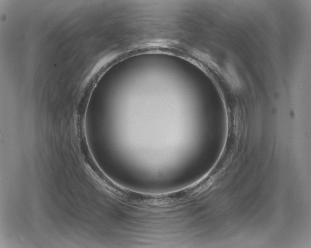 X0000080751404200612151303