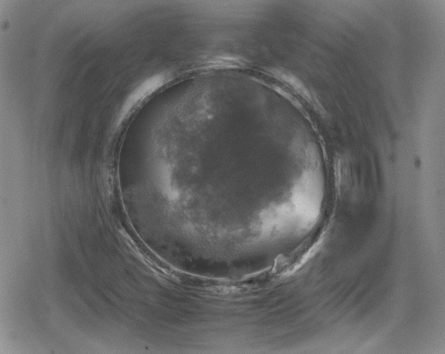 X0000080751405200612151303