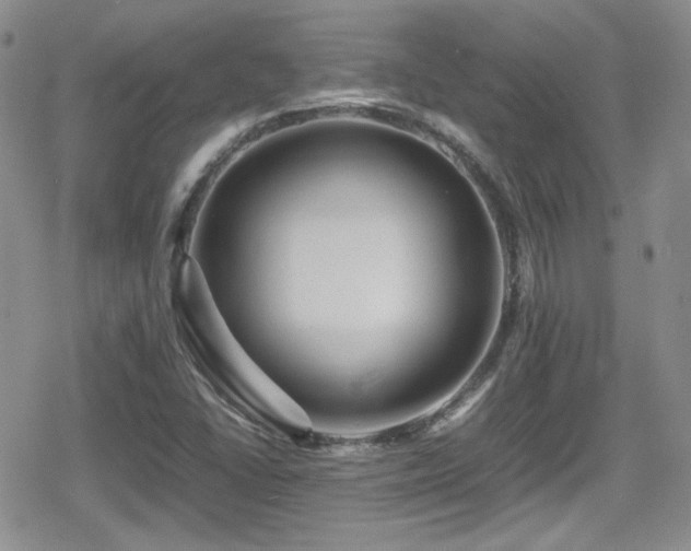 X0000080751406200612151303