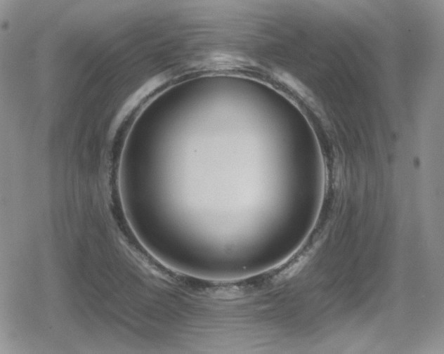 X0000080751410200612151303