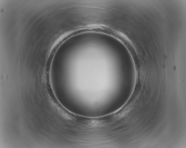X0000080751412200612151303