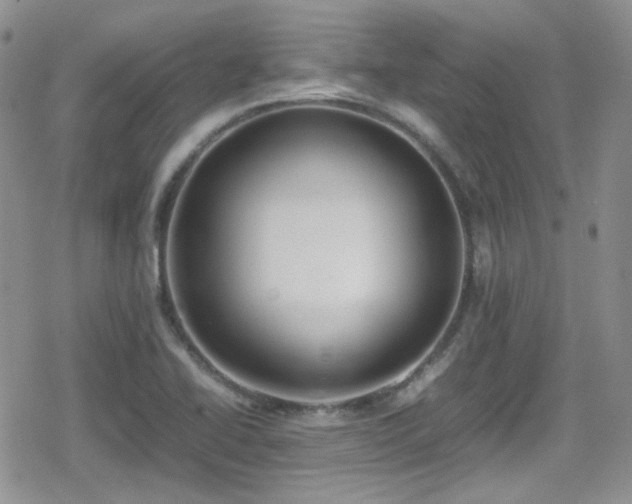 X0000080751414200612151303