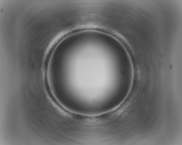 X0000080751416200612151303