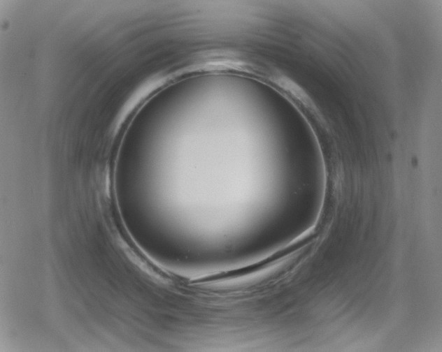 X0000080751420200612151303