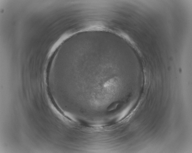 X0000080751422200612151303