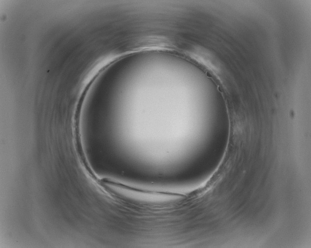 X0000080751423200612151303