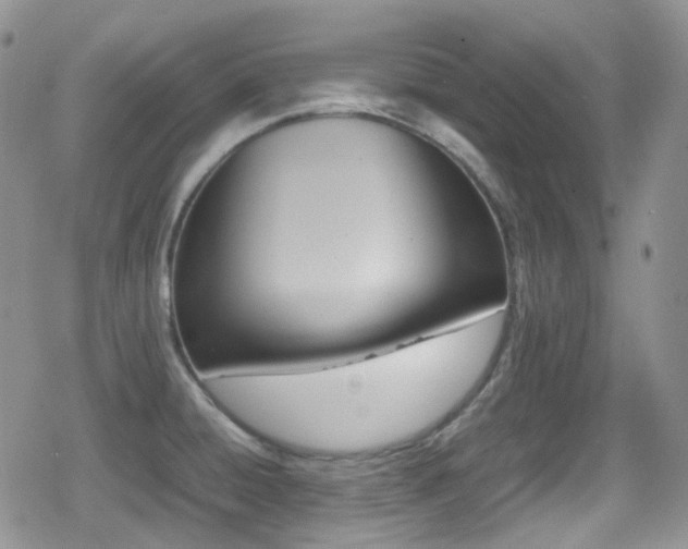 X0000080751428200612151303