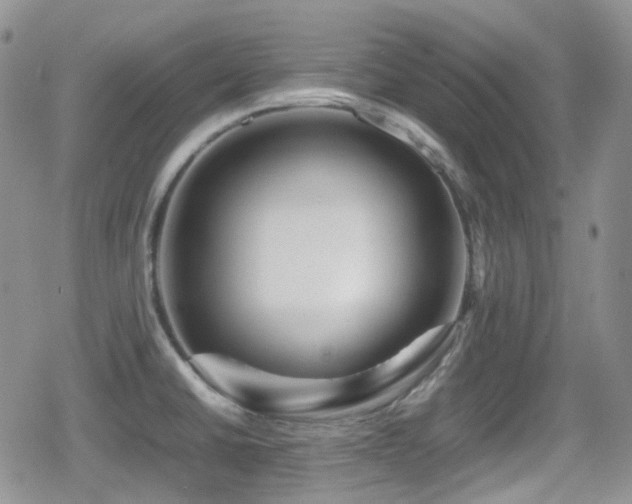 X0000080751430200612151303
