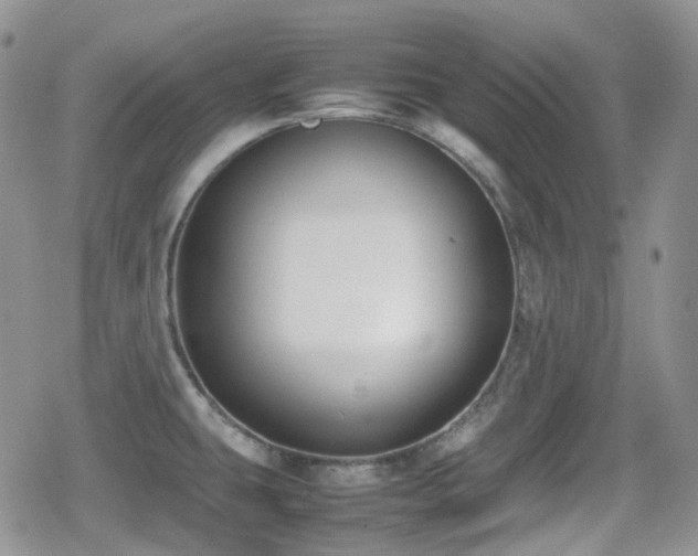 X0000080751431200612151303