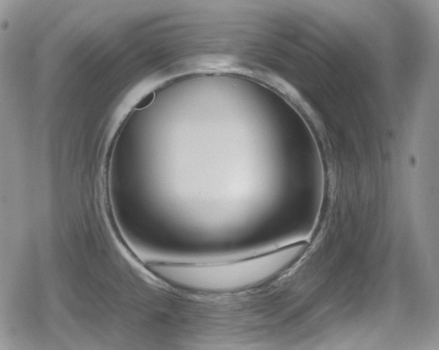 X0000080751432200612151303
