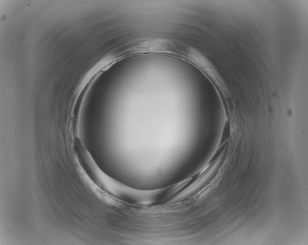 X0000080751434200612151303