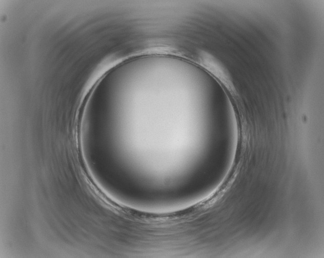 X0000080751436200612151303
