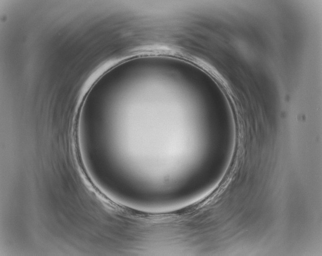 X0000080751440200612151303