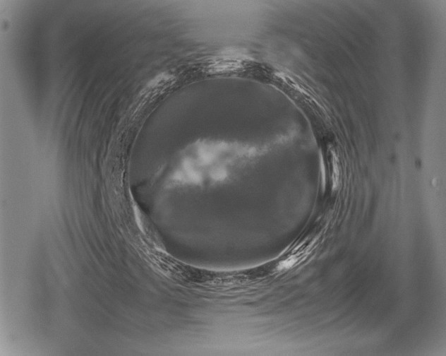 X0000080751441200612151303