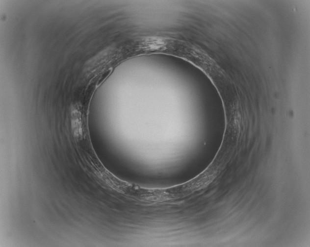 X0000080751442200612151303