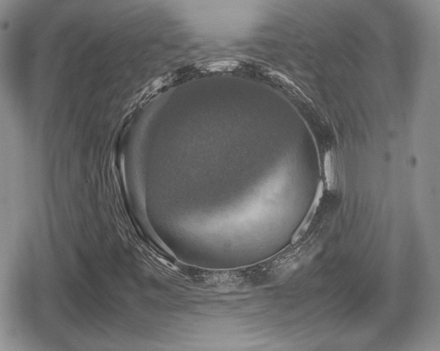 X0000080751443200612151302