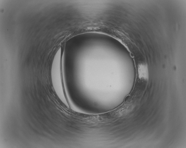X0000080751444200612151302