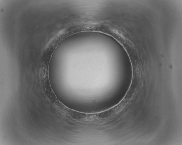 X0000080751447200612151302