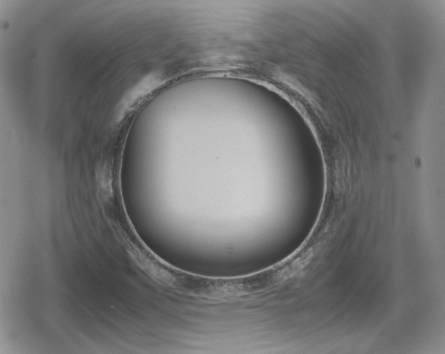 X0000080751451200612151302