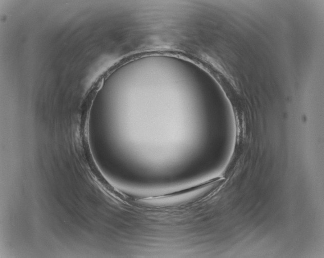 X0000080751452200612151302