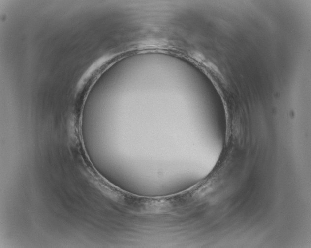 X0000080751454200612151302