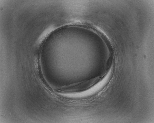 X0000080751455200612151302