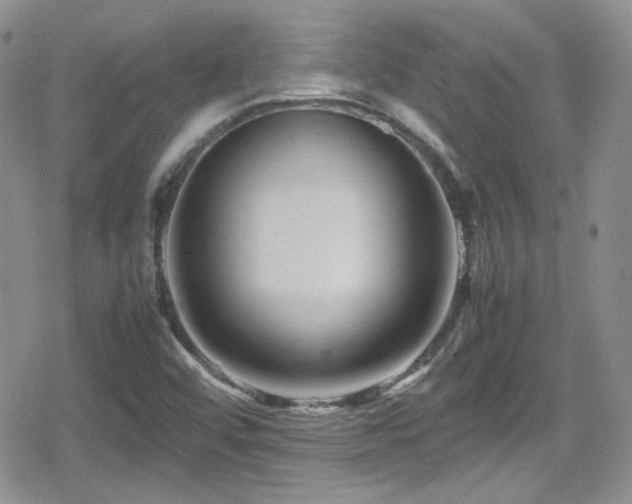 X0000080751456200612151302