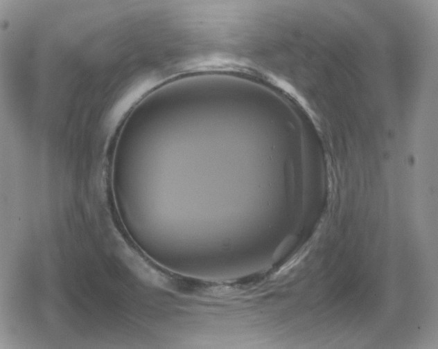 X0000080751463200612151302