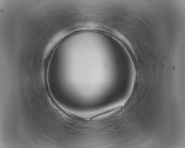 X0000080751464200612151302