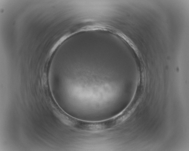 X0000080751465200612151302