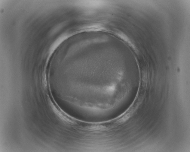X0000080751466200612151302